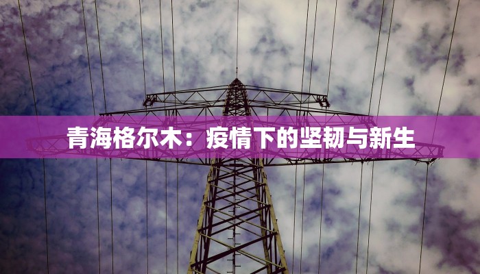 青海格尔木：疫情下的坚韧与新生