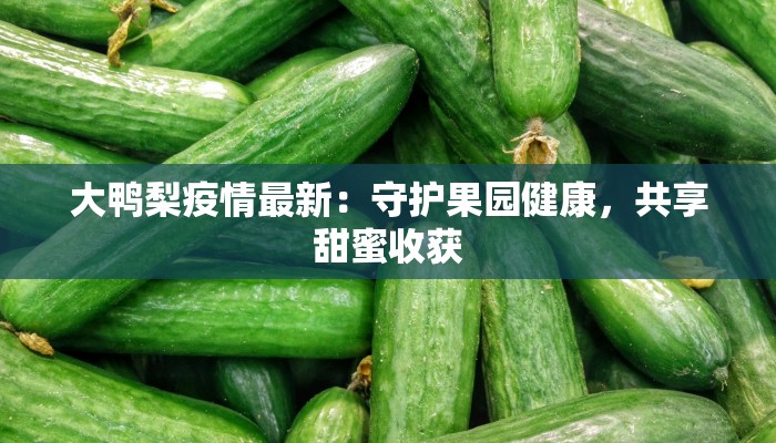 正宁疫情最新通知