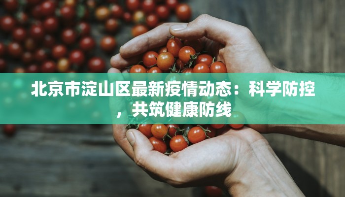 北京市淀山区最新疫情动态：科学防控，共筑健康防线