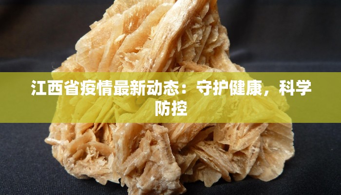 团购孕妇写真摄影：定格母爱的永恒光芒