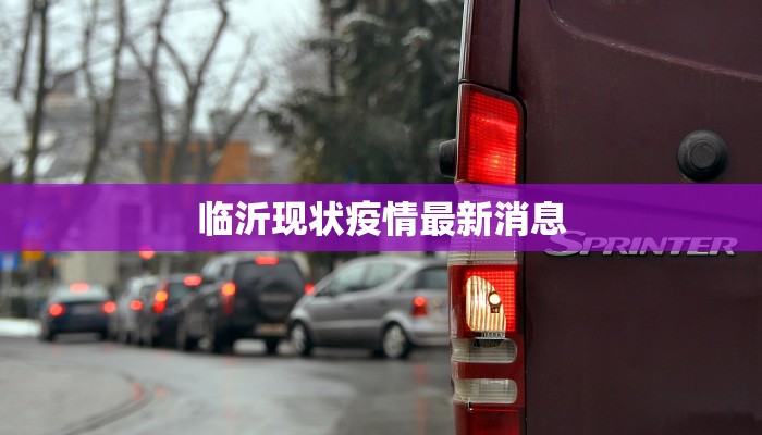 临沂现状疫情最新消息