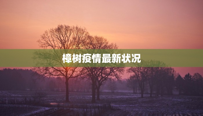 樟树疫情最新状况