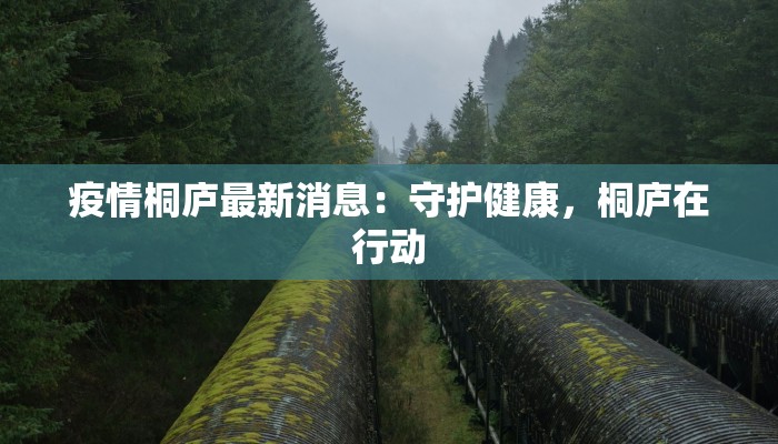 疫情桐庐最新消息：守护健康，桐庐在行动