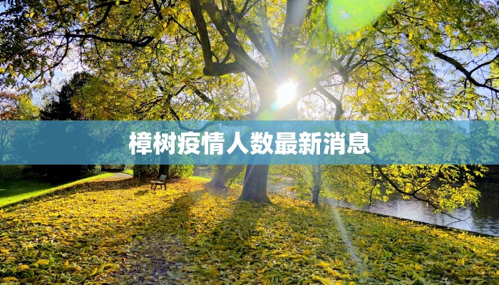 樟树疫情人数最新消息