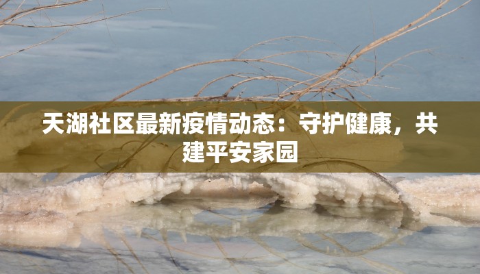 天湖社区最新疫情动态：守护健康，共建平安家园