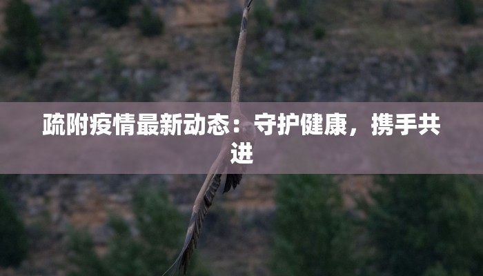 疏附疫情最新动态：守护健康，携手共进