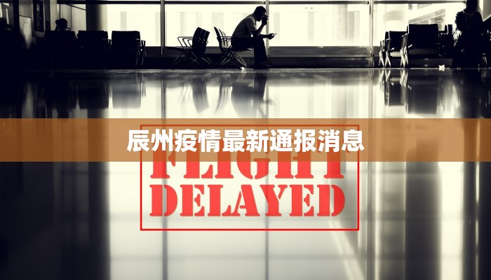 辰州疫情最新通报消息