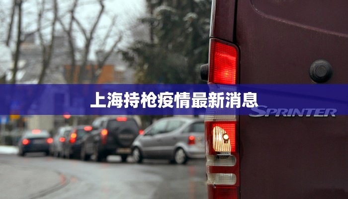 上海持枪疫情最新消息