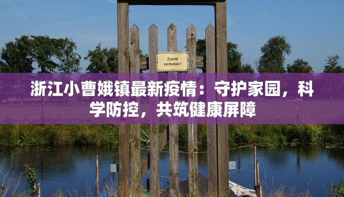 老婆你辛苦了舞蹈：一曲温柔的致敬与感动