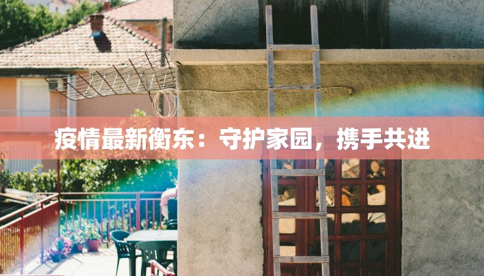 疫情最新衡东：守护家园，携手共进