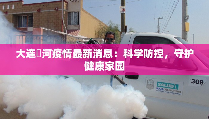 大连庒河疫情最新消息：科学防控，守护健康家园