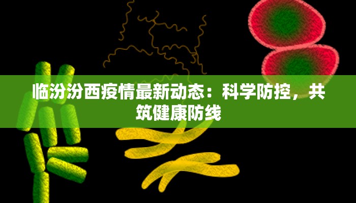 临汾汾西疫情最新动态：科学防控，共筑健康防线