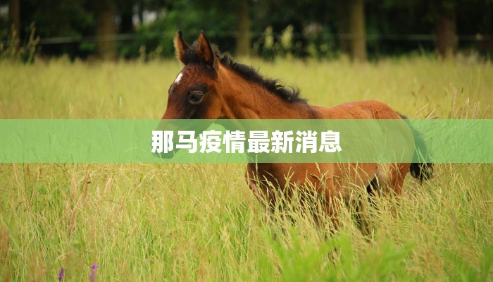 上海七宝疫情通报最新：科学防控，共筑健康屏障