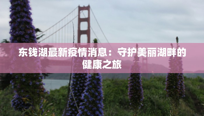 东钱湖最新疫情消息：守护美丽湖畔的健康之旅