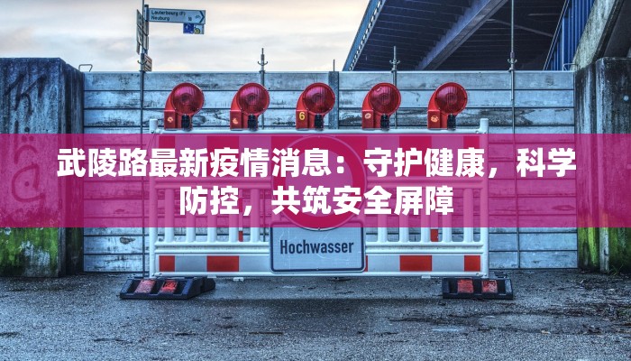 武陵路最新疫情消息：守护健康，科学防控，共筑安全屏障