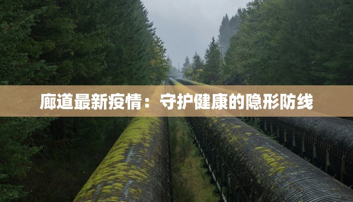 廊道最新疫情：守护健康的隐形防线