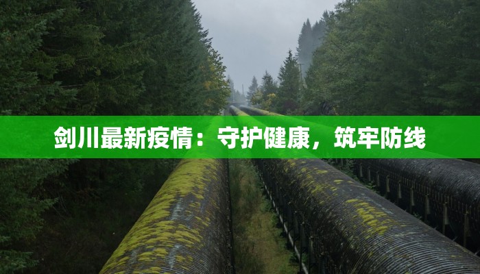 剑川最新疫情：守护健康，筑牢防线