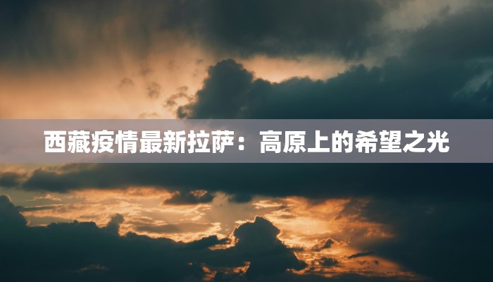 西藏疫情最新拉萨：高原上的希望之光