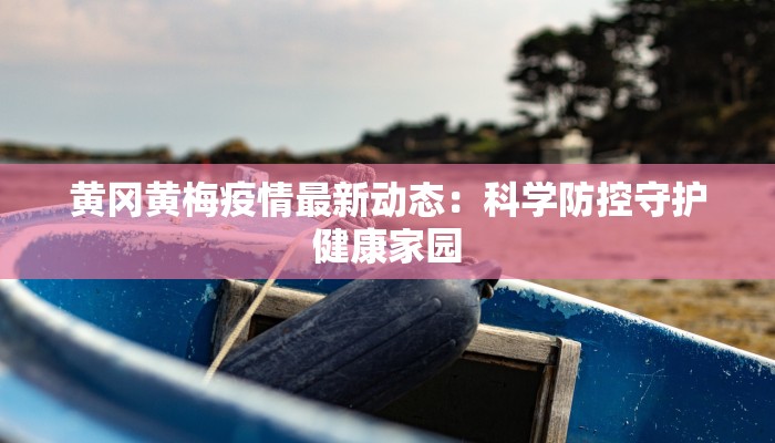 黄冈黄梅疫情最新动态：科学防控守护健康家园