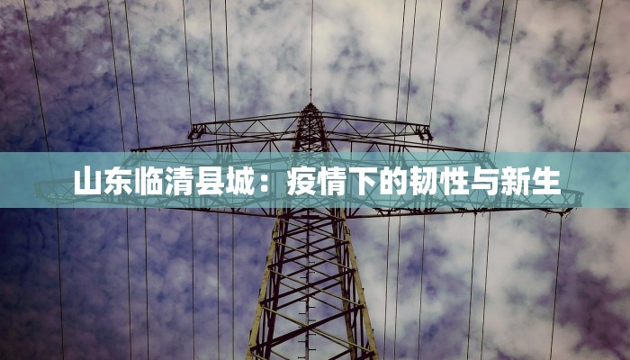 山东临清县城：疫情下的韧性与新生