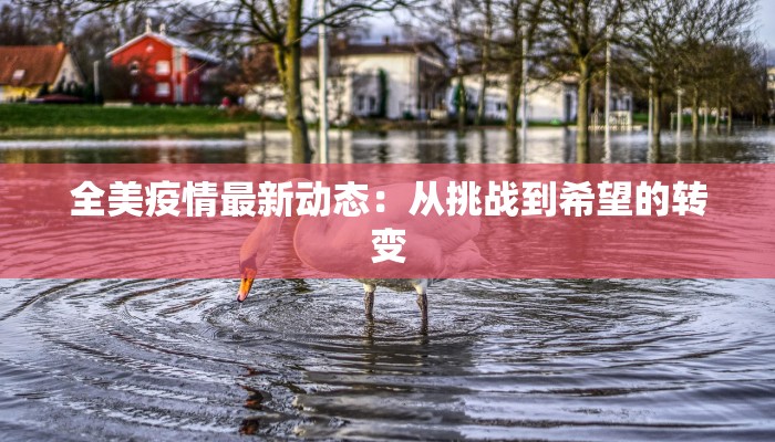 全美疫情最新动态：从挑战到希望的转变