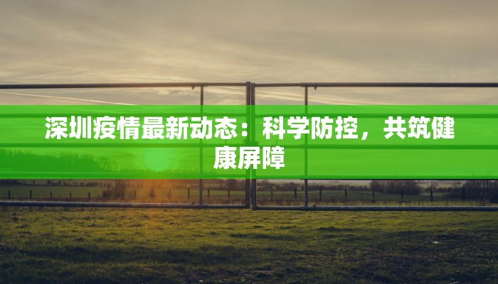 深圳疫情最新动态：科学防控，共筑健康屏障