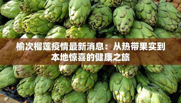 包头疫情最新消息：科学防控，守护健康生活