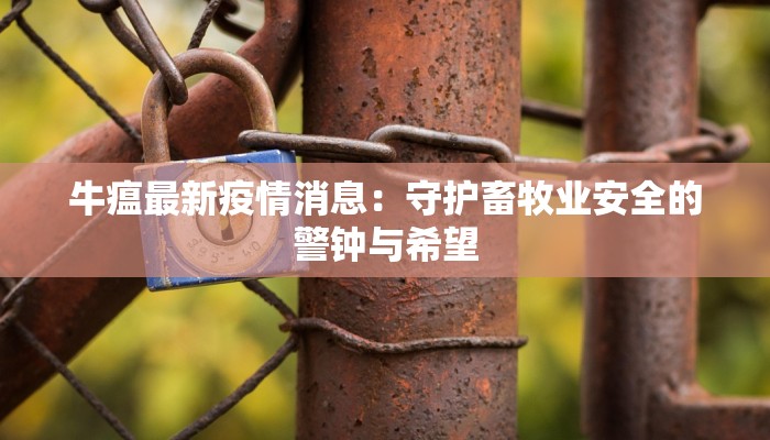 阿根廷疫情最新航班：安全启航，畅享南美之美