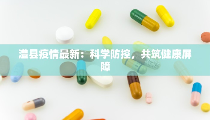 澧县疫情最新：科学防控，共筑健康屏障