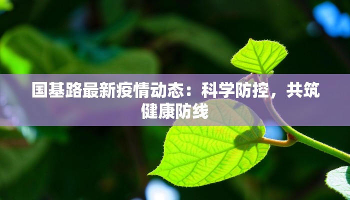 国基路最新疫情动态：科学防控，共筑健康防线
