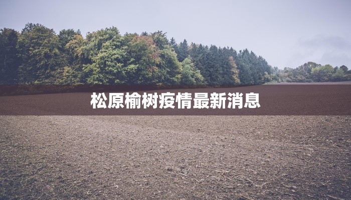 松原榆树疫情最新消息