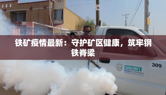 铁矿疫情最新：守护矿区健康，筑牢钢铁脊梁