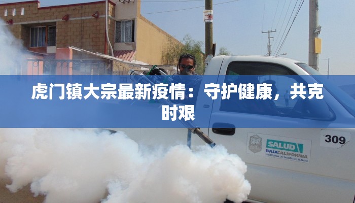 虎门镇大宗最新疫情：守护健康，共克时艰