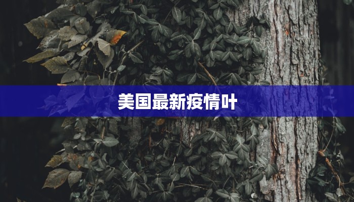 商丘最新疫情今天：守护健康，安心前行