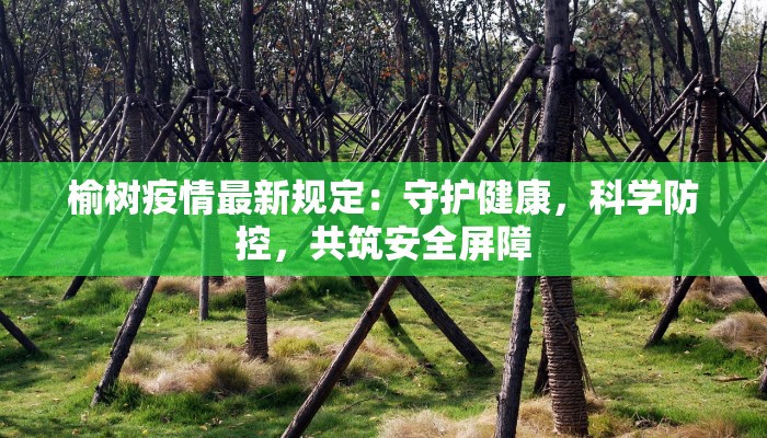 榆树疫情最新规定：守护健康，科学防控，共筑安全屏障