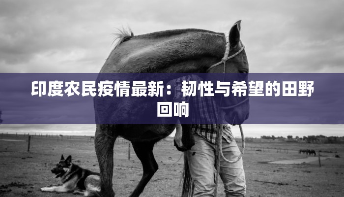 印度农民疫情最新：韧性与希望的田野回响