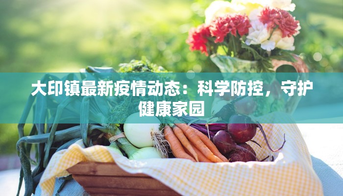 大印镇最新疫情动态：科学防控，守护健康家园