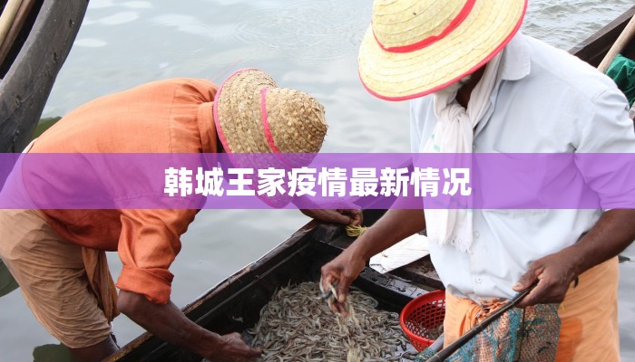 韩城王家疫情最新情况