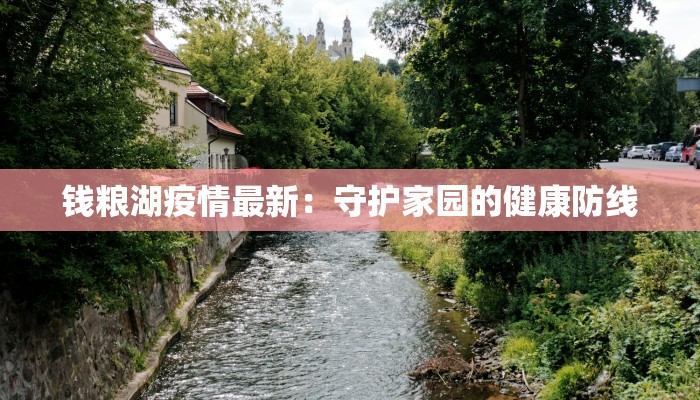 钱粮湖疫情最新：守护家园的健康防线