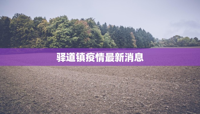 驿道镇疫情最新消息
