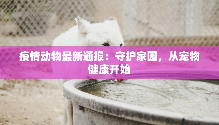 疫情动物最新通报：守护家园，从宠物健康开始