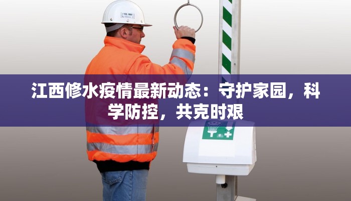 江西修水疫情最新动态：守护家园，科学防控，共克时艰