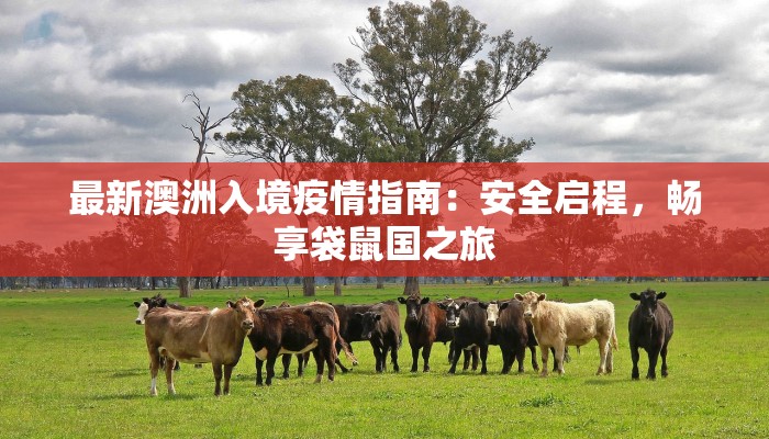 最新澳洲入境疫情指南：安全启程，畅享袋鼠国之旅