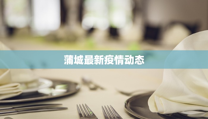 蒲城最新疫情动态