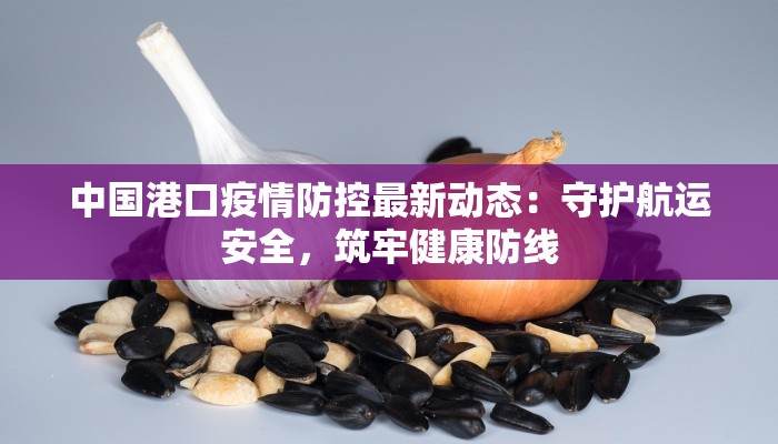 中国港口疫情防控最新动态：守护航运安全，筑牢健康防线