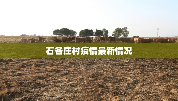 石各庄村疫情最新情况