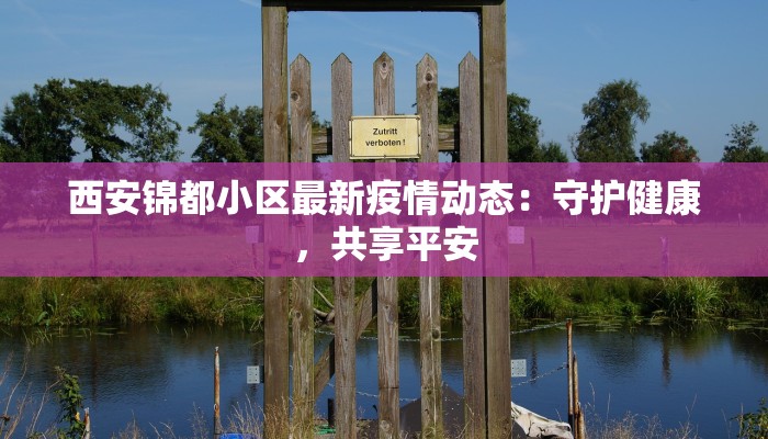 西安锦都小区最新疫情动态：守护健康，共享平安