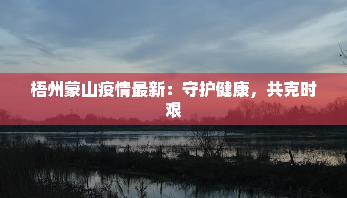 梧州蒙山疫情最新：守护健康，共克时艰