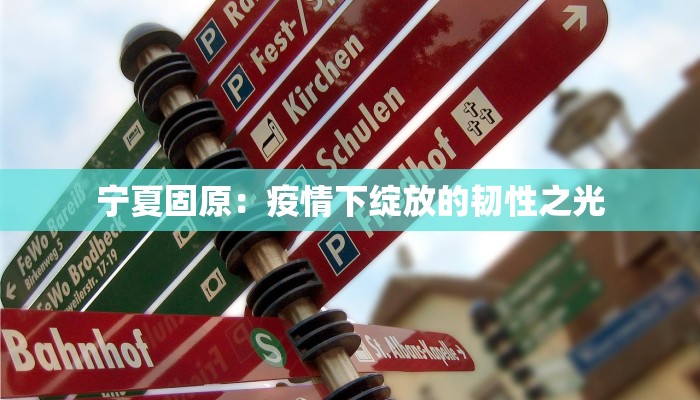 宁夏固原：疫情下绽放的韧性之光