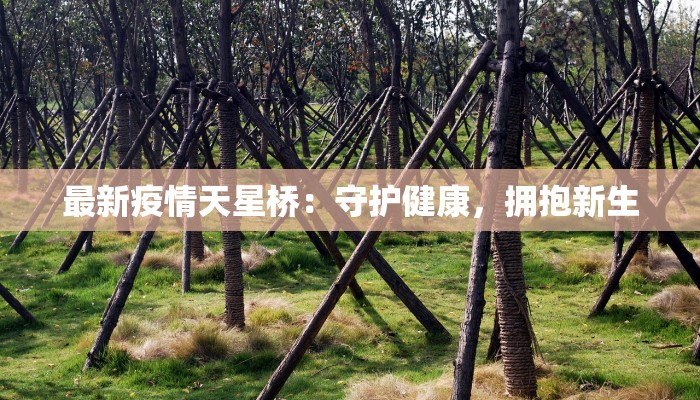 最新疫情天星桥：守护健康，拥抱新生